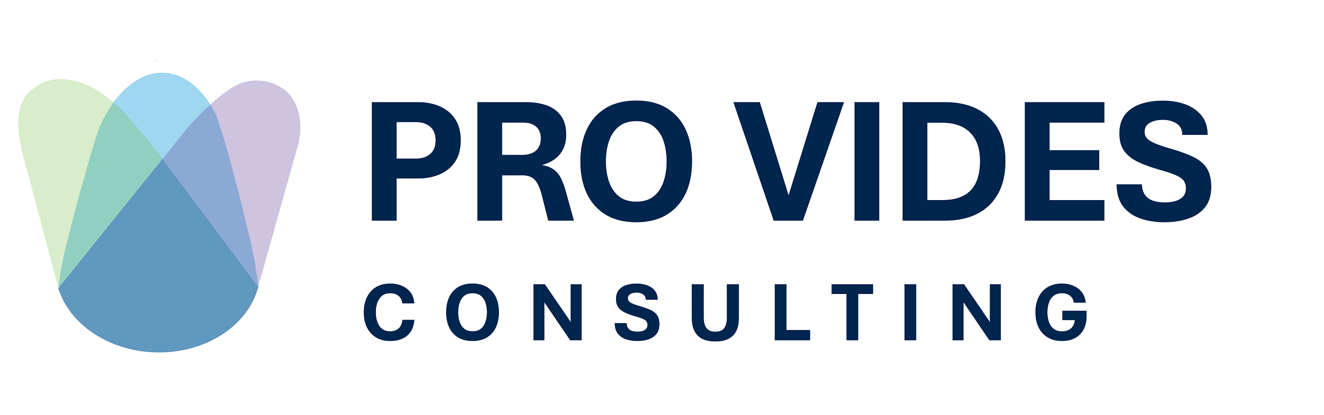 Pro Vides Consulting Logo